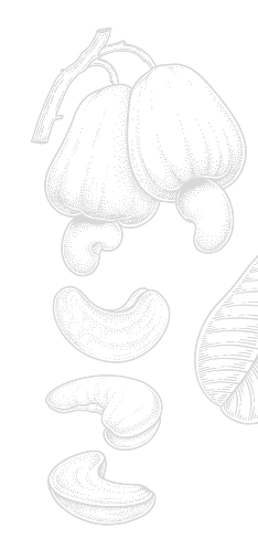 Decorative Cashew